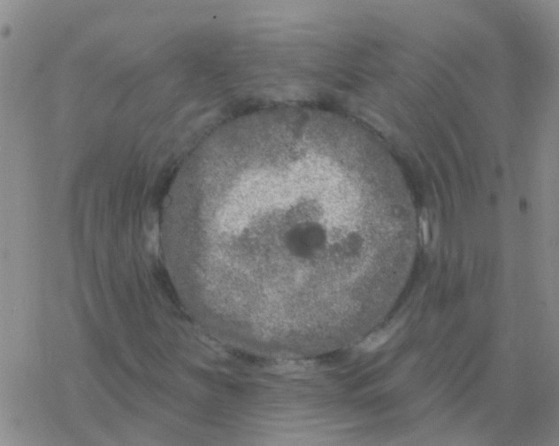 X0000076301251200610271905