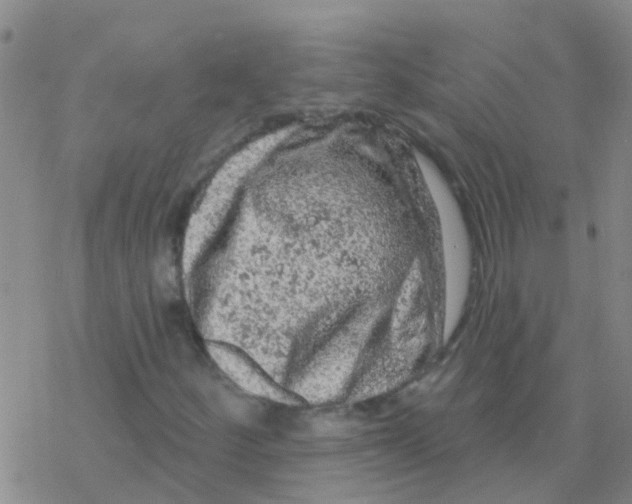 X0000076301252200610271905