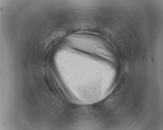 X0000076301253200610271905