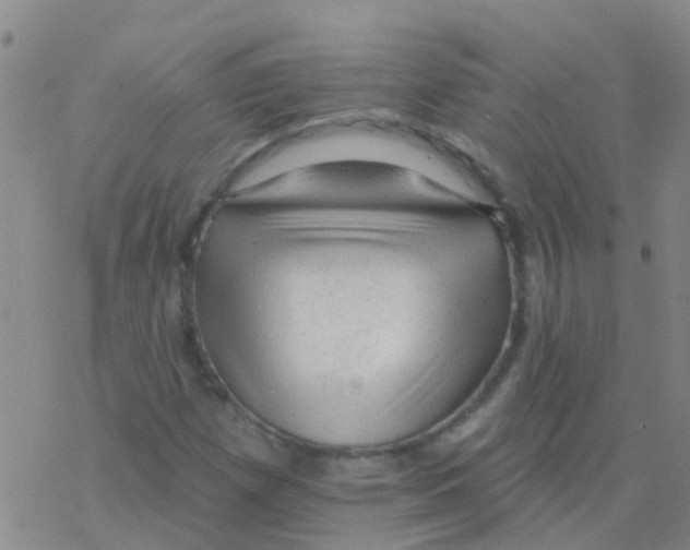 X0000076301257200610271905