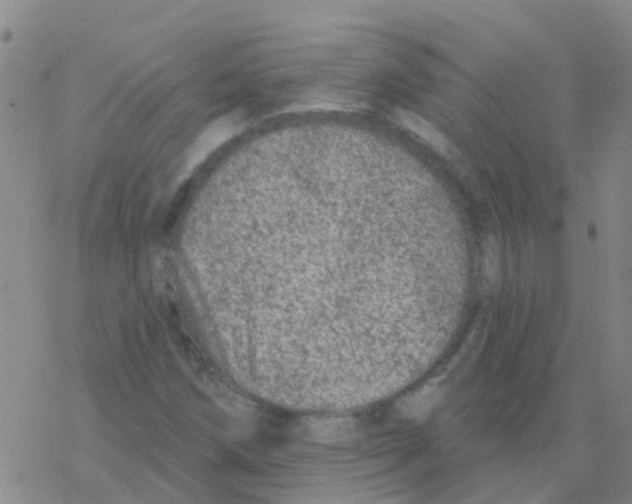 X0000076301258200610271905