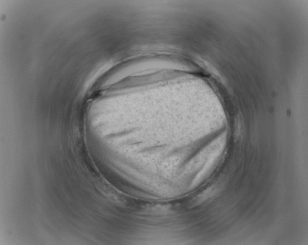 X0000076301261200610271905