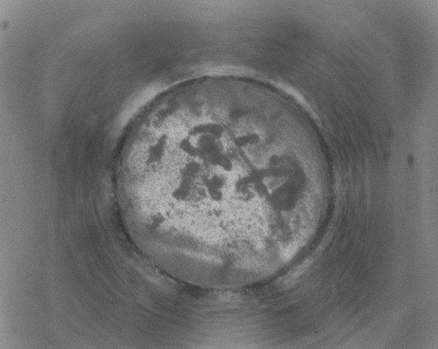 X0000076301263200610271905