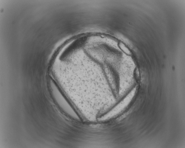 X0000076301264200610271905