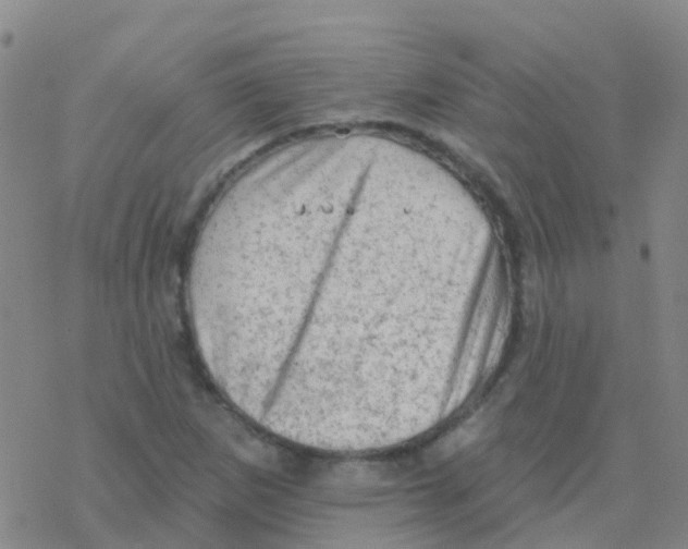 X0000076301265200610271905