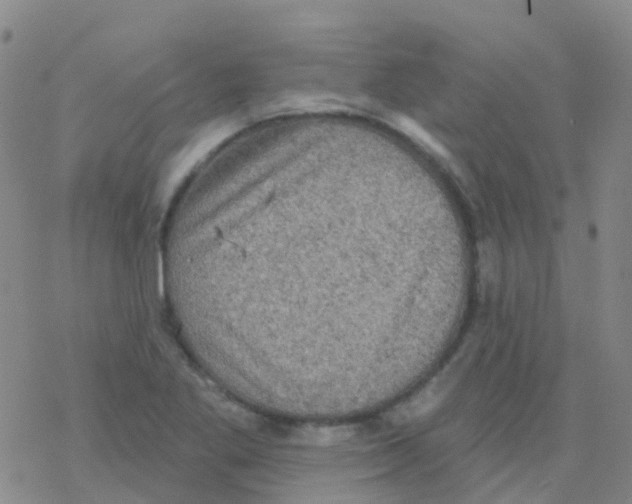 X0000076301269200610271905