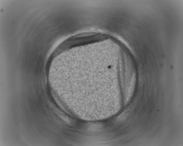 X0000076301270200610271905