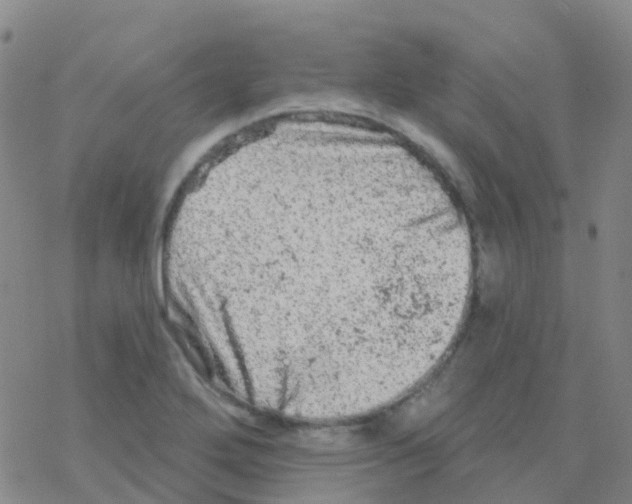 X0000076301272200610271905