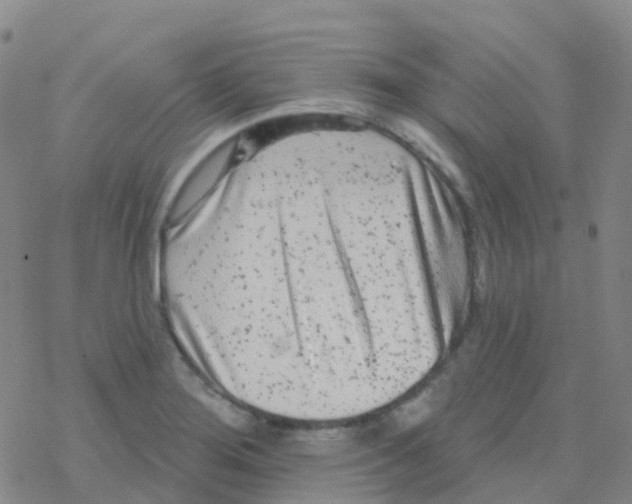 X0000076301276200610271905