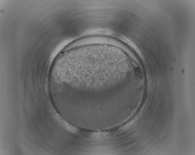 X0000076301277200610271905