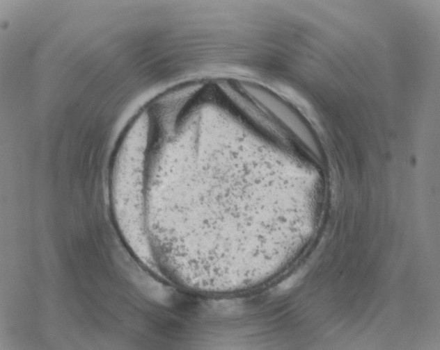 X0000076301280200610271905