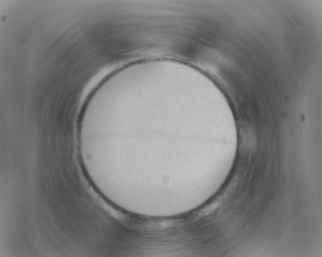 X0000076301286200610271905