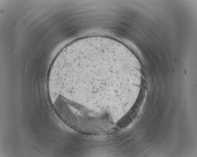 X0000076301288200610271905