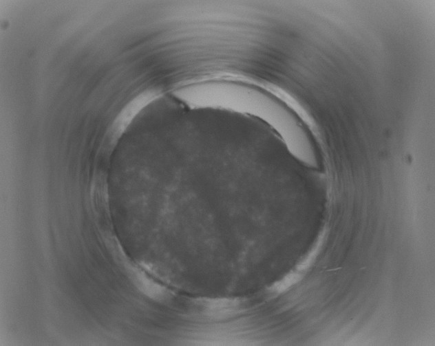 X0000076301289200610271905