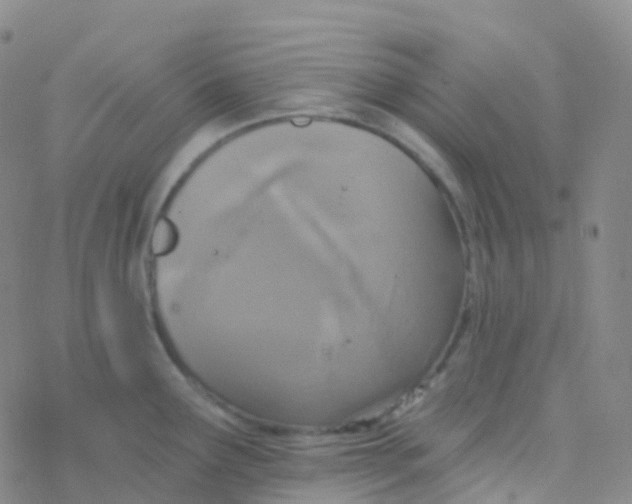 X0000076301291200610271905