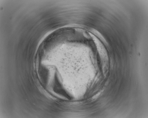 X0000076301292200610271905