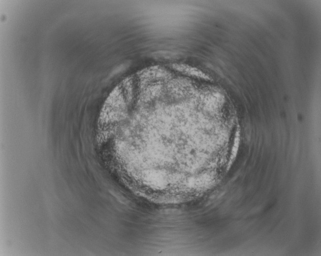 X0000076301297200610271904