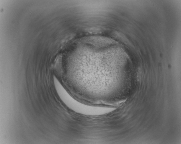 X0000076301298200610271904