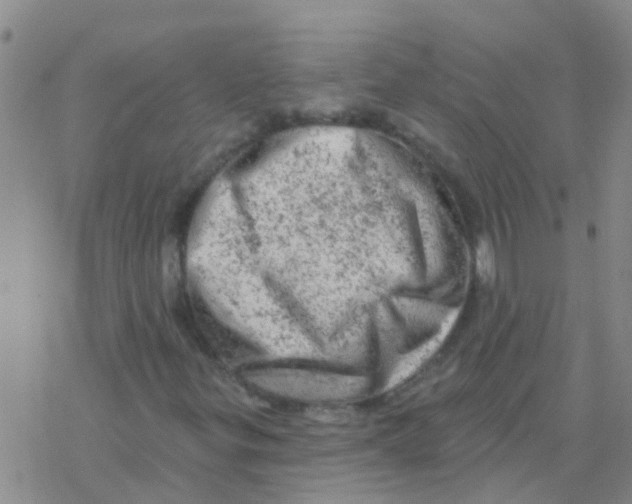 X0000076301299200610271904