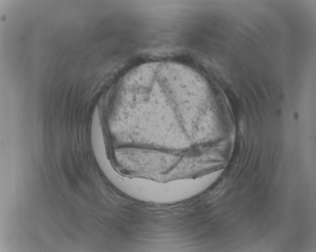 X0000076301300200610271904