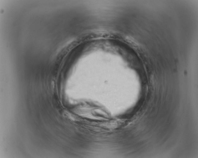 X0000076301302200610271904