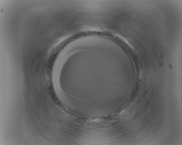 X0000076301303200610271904