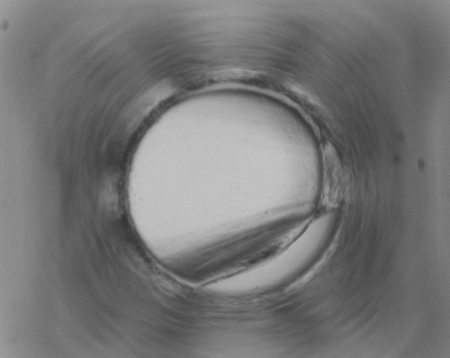 X0000076301305200610271904