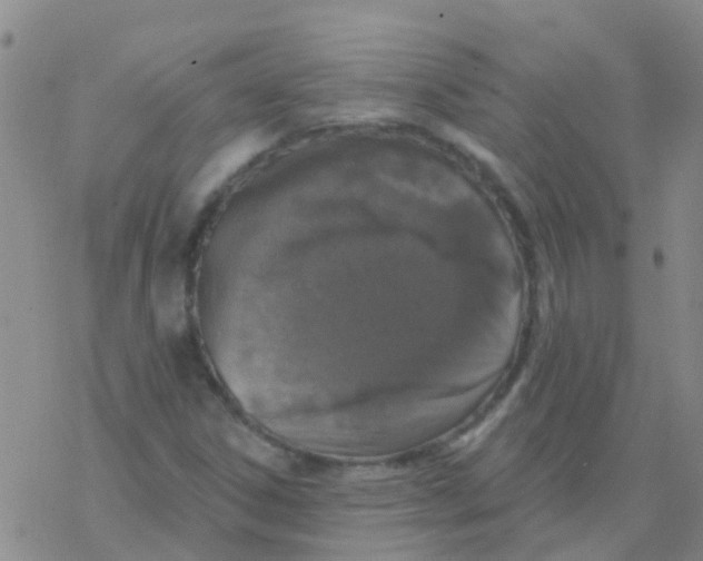 X0000076301306200610271904