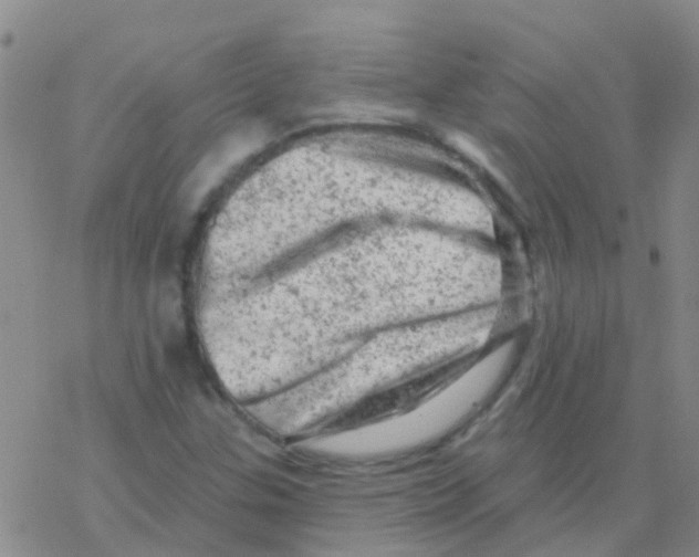 X0000076301307200610271904