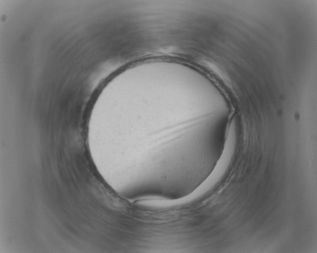 X0000076301308200610271904