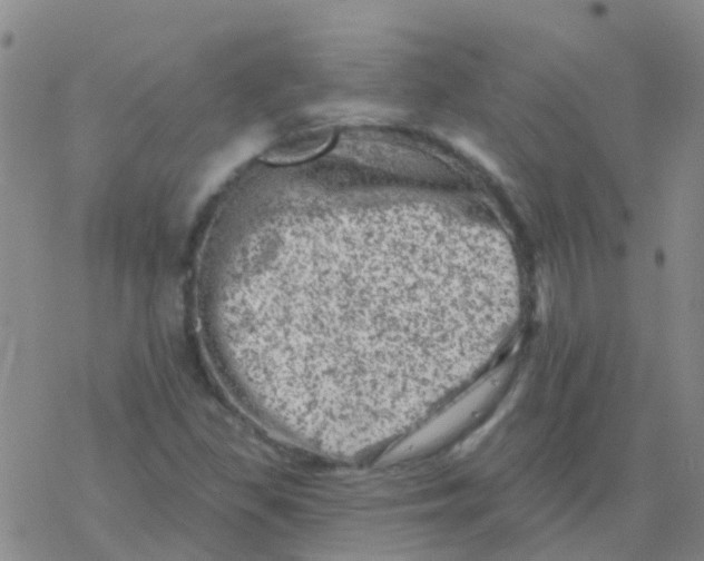 X0000076301309200610271904