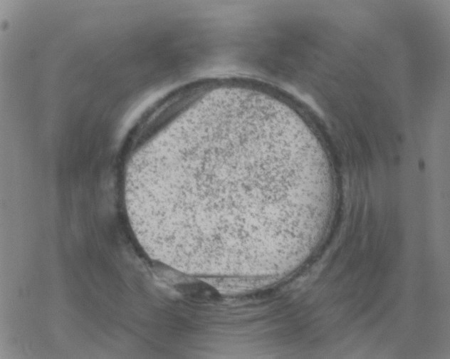 X0000076301311200610271904