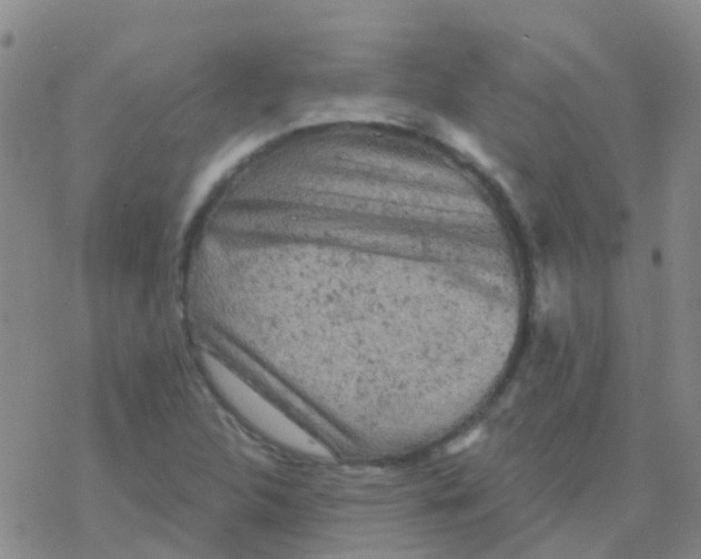 X0000076301312200610271904