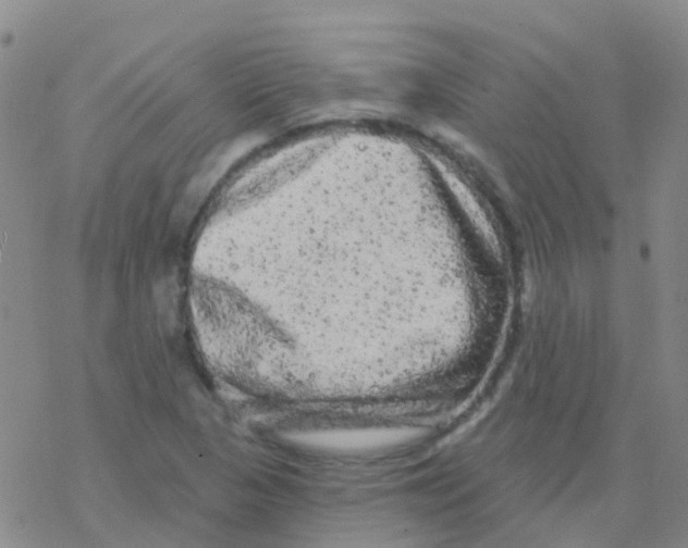 X0000076301313200610271904