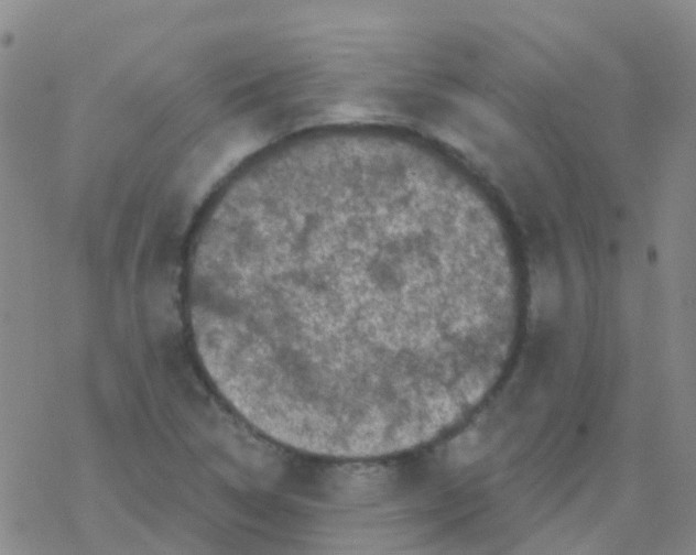 X0000076301314200610271904