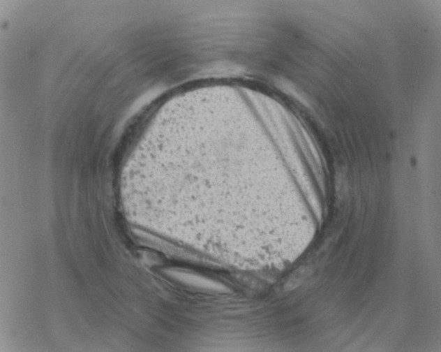 X0000076301315200610271904