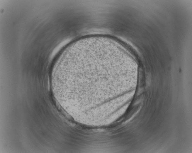 X0000076301317200610271904