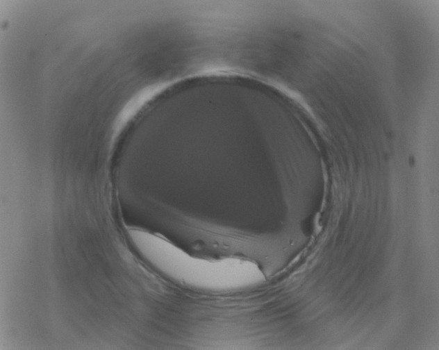 X0000076301319200610271904