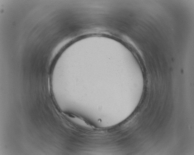 X0000076301320200610271904