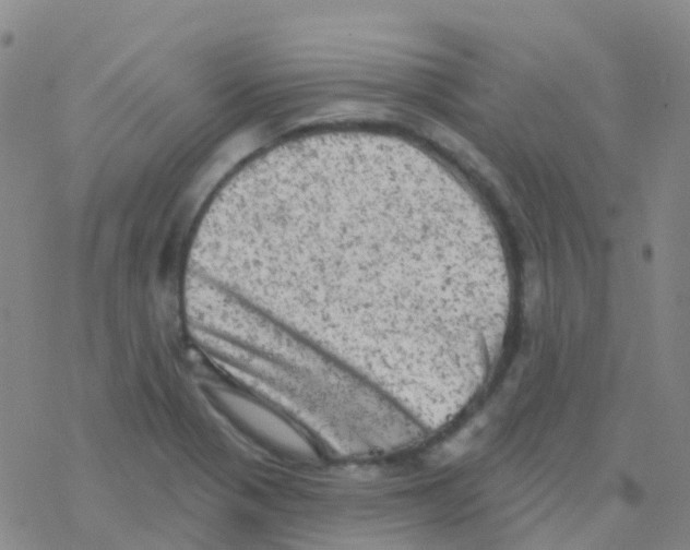 X0000076301321200610271904