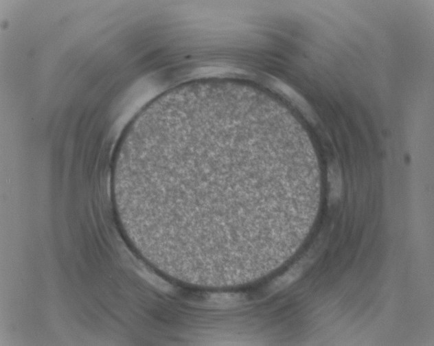 X0000076301322200610271904