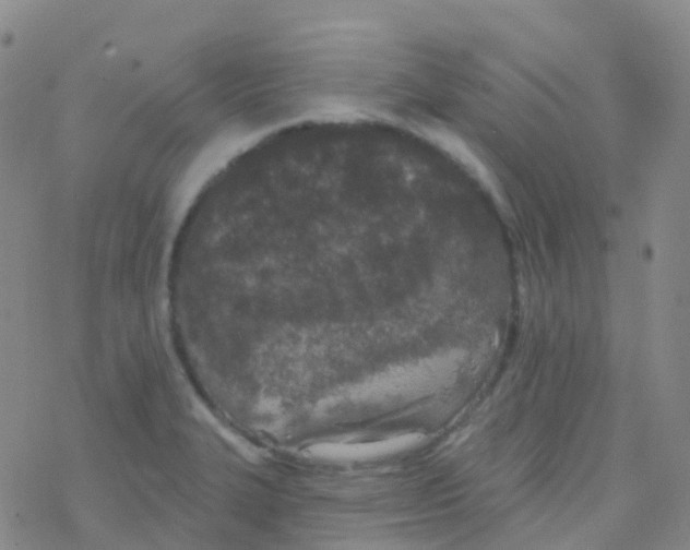 X0000076301327200610271904