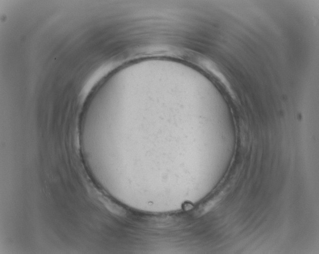 X0000076301328200610271904