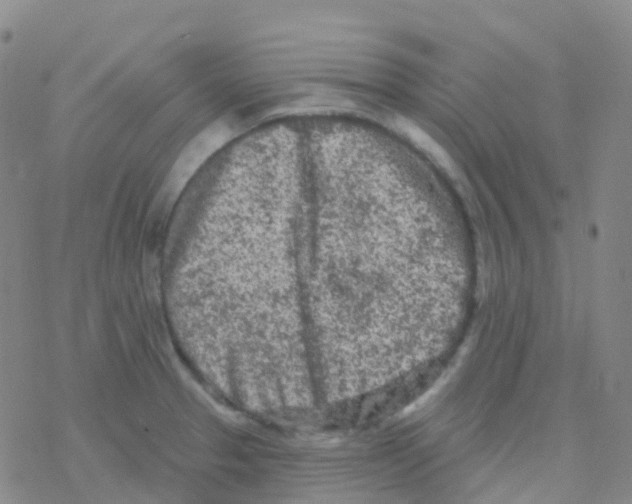 X0000076301329200610271904