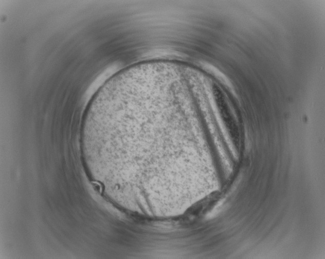 X0000076301330200610271904