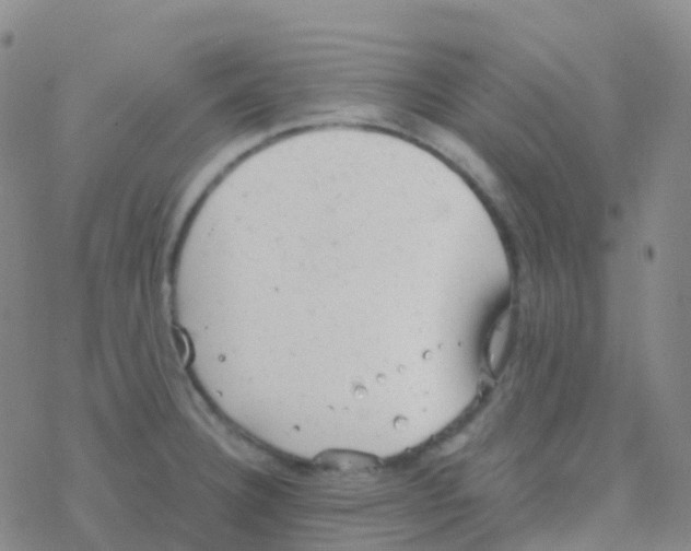 X0000076301332200610271904