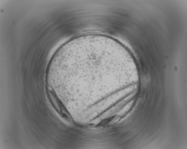 X0000076301333200610271904