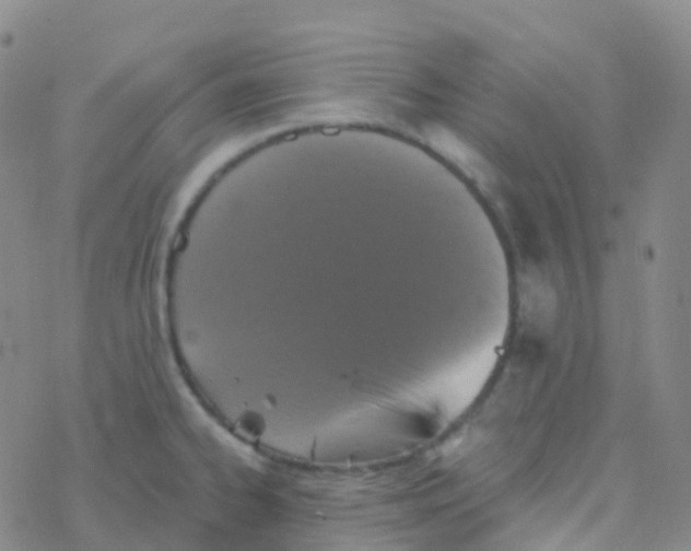 X0000076301334200610271904