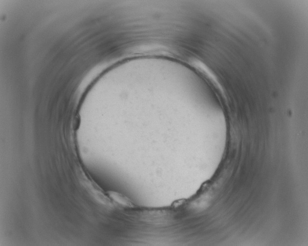 X0000076301336200610271904