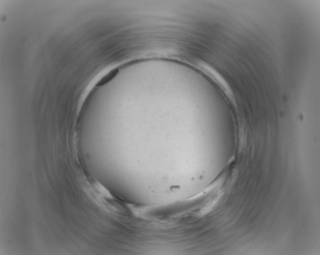 X0000076301340200610271904